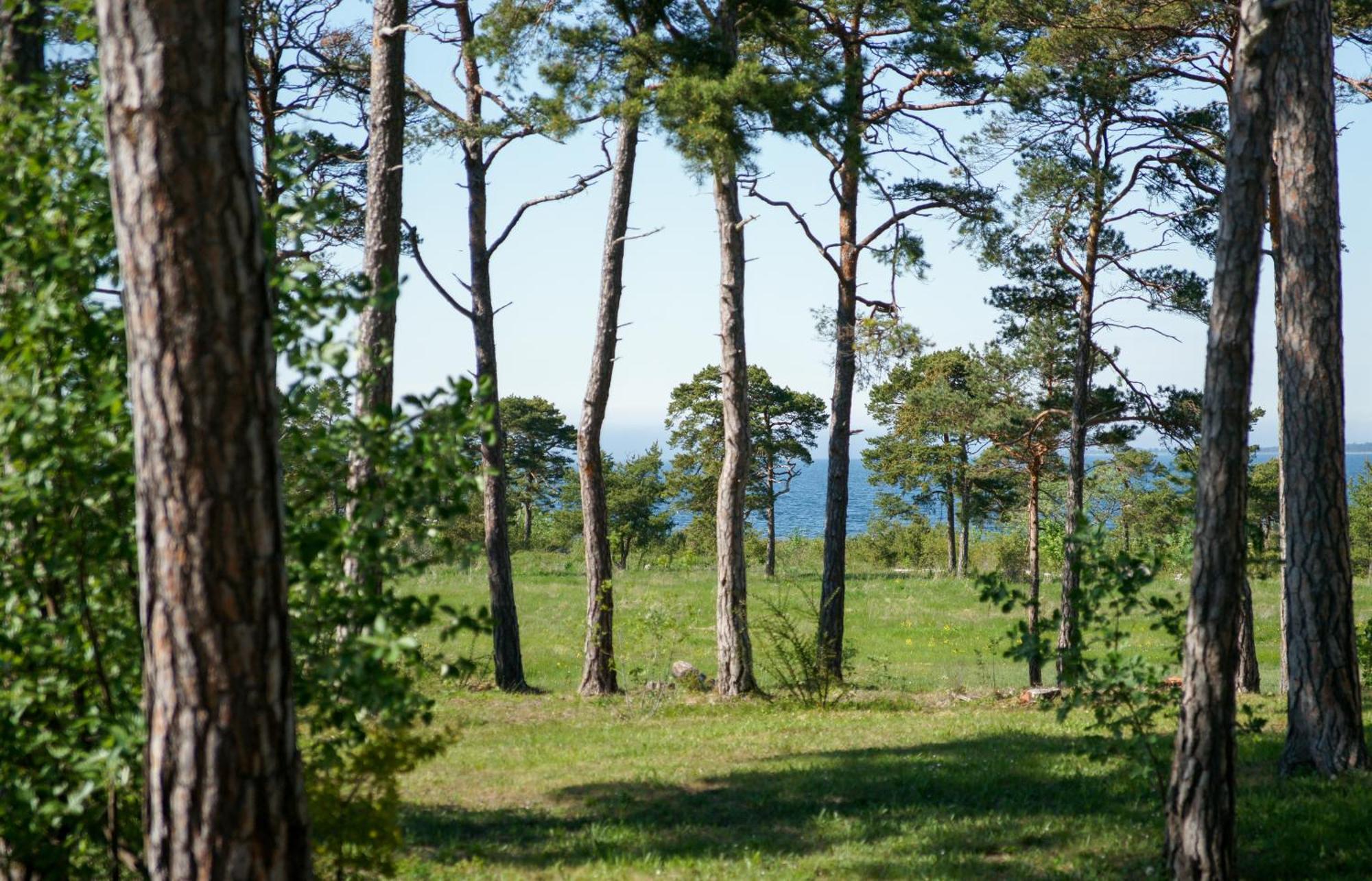 Gotlands Idrottscenter Vandrarhem Fårösund Rum bild